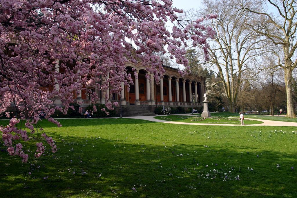 Apparthaus Pfeifer Baden-Baden Dış mekan fotoğraf