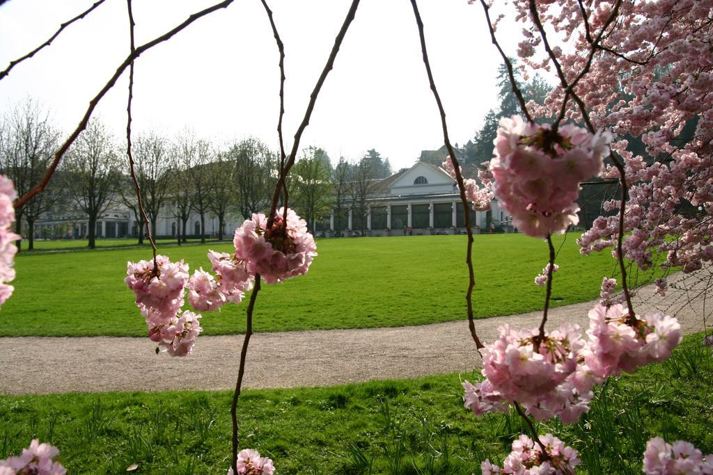 Apparthaus Pfeifer Baden-Baden Dış mekan fotoğraf